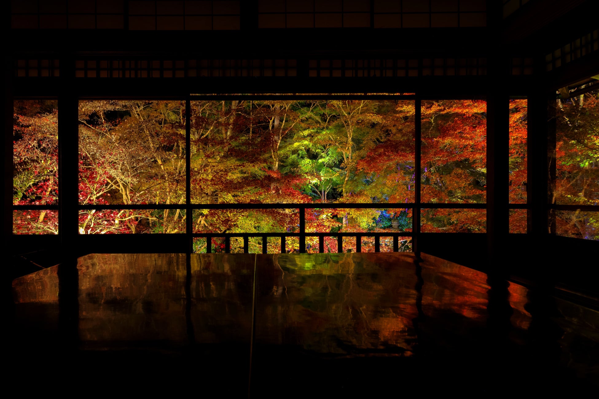 「そうだ 京都、行こう。」2022年秋　紅葉の見頃に突入！まだ間に合う秋の京都観光プラン！