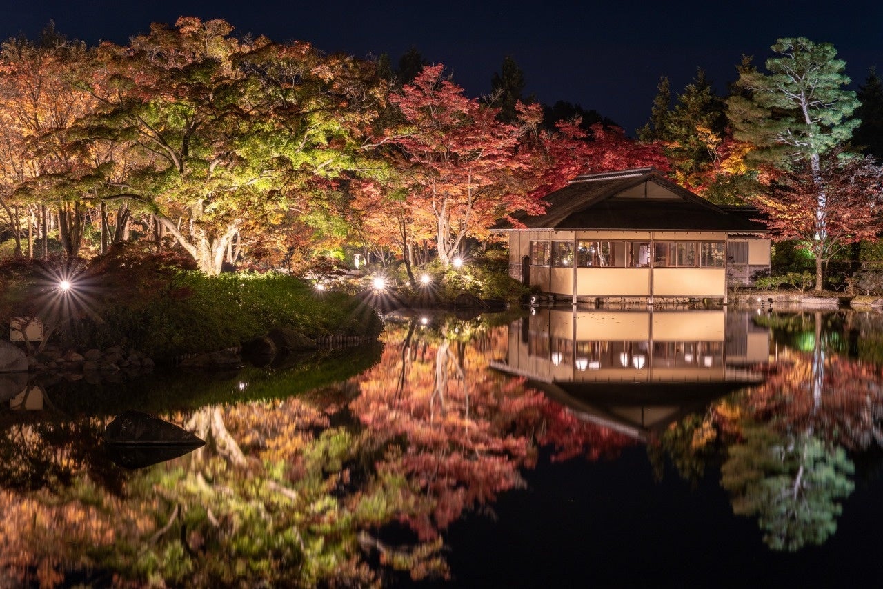 国営昭和記念公園の「秋の夜散歩」特別観覧エリアにてアソビューが提供する電子チケットサービスを導入