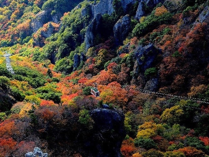 【両備グループ】小豆島の秋の風情を楽しんで「寒霞渓で紅葉狩り」おすすめポイントご紹介　フェリーと宿泊がセットになった全国旅行割対象商品も販売中
