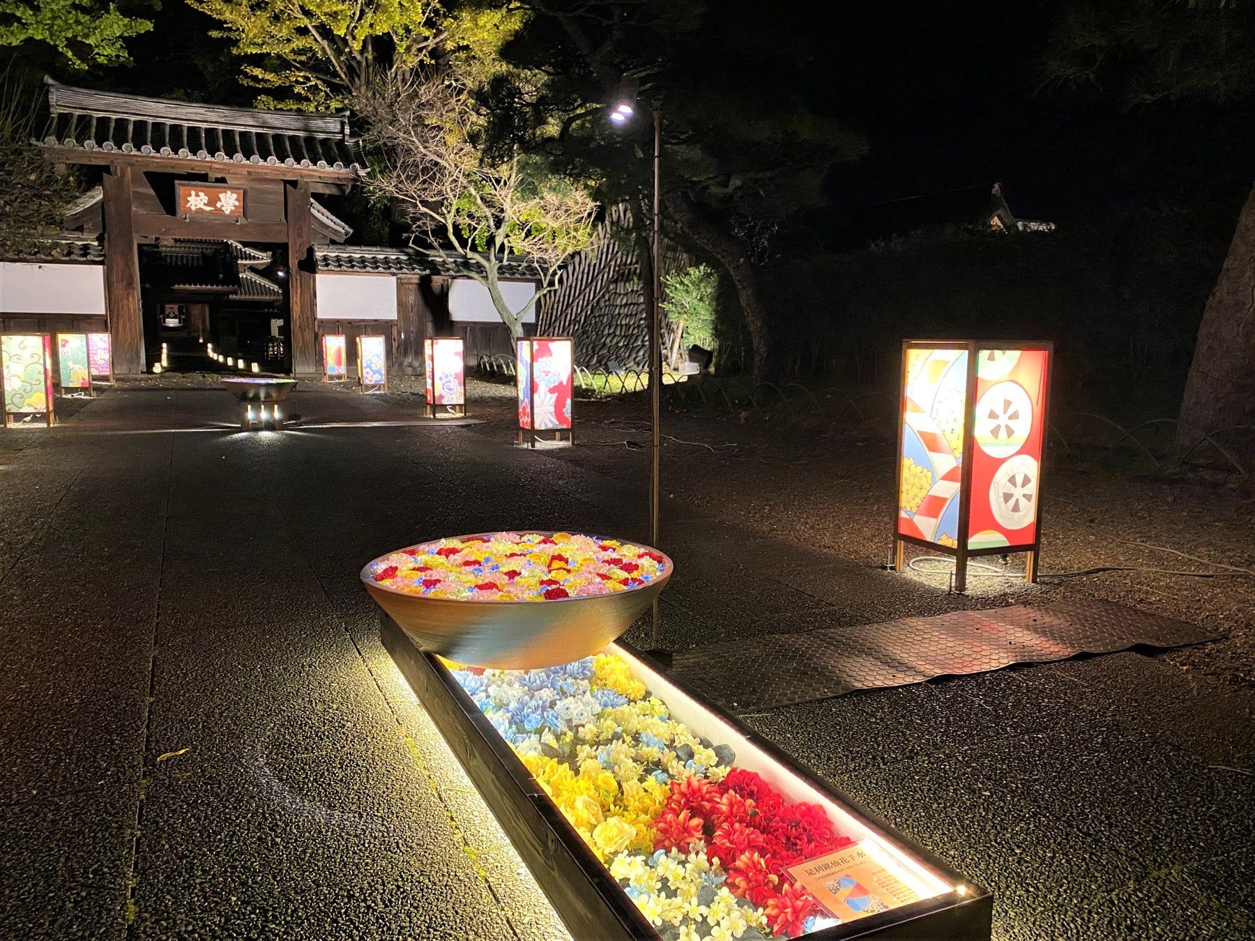 2022年3月に全国ランキング第1位にて日本三大イルミネーションに選ばれた『あしがフラワーパーク』が、日本最古の学校『足利学校』を花と光の魔法で期間限定演出中！