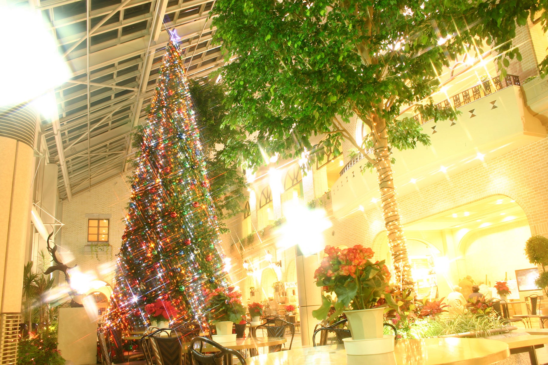 高さ9ｍの淡路島内最大級クリスマスツリー＆電飾 淡路ハイウェイオアシスに登場！ 2022年11月19日(土)点灯式開催！！