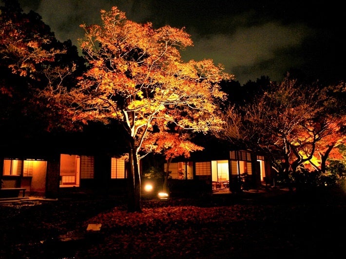 【JAF大阪】万博記念公園・日本庭園夜間ライトアップで使える「JAFアプリクーポン」を初めて配信！