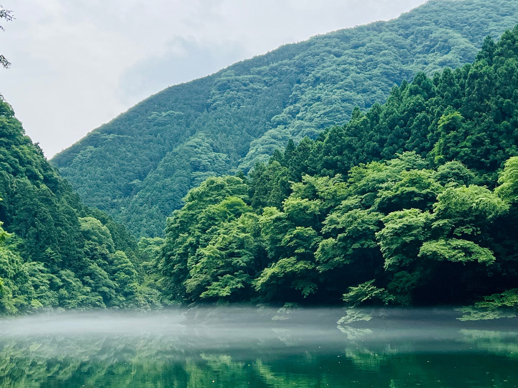 南関東唯一の湖が水風呂であるサウナ施設[白丸village]が奥多摩町にオープン！！