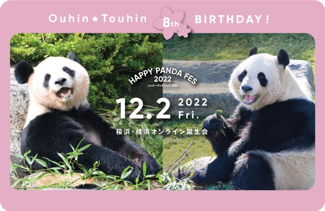 HAPPY PANDA FES２０２２朝は公式SNSでライブ配信、夜はオンライン誕生会でお祝い★ジャイアントパンダ「桜浜（おうひん）」「桃浜（とうひん）」８歳の誕生会を開催します！