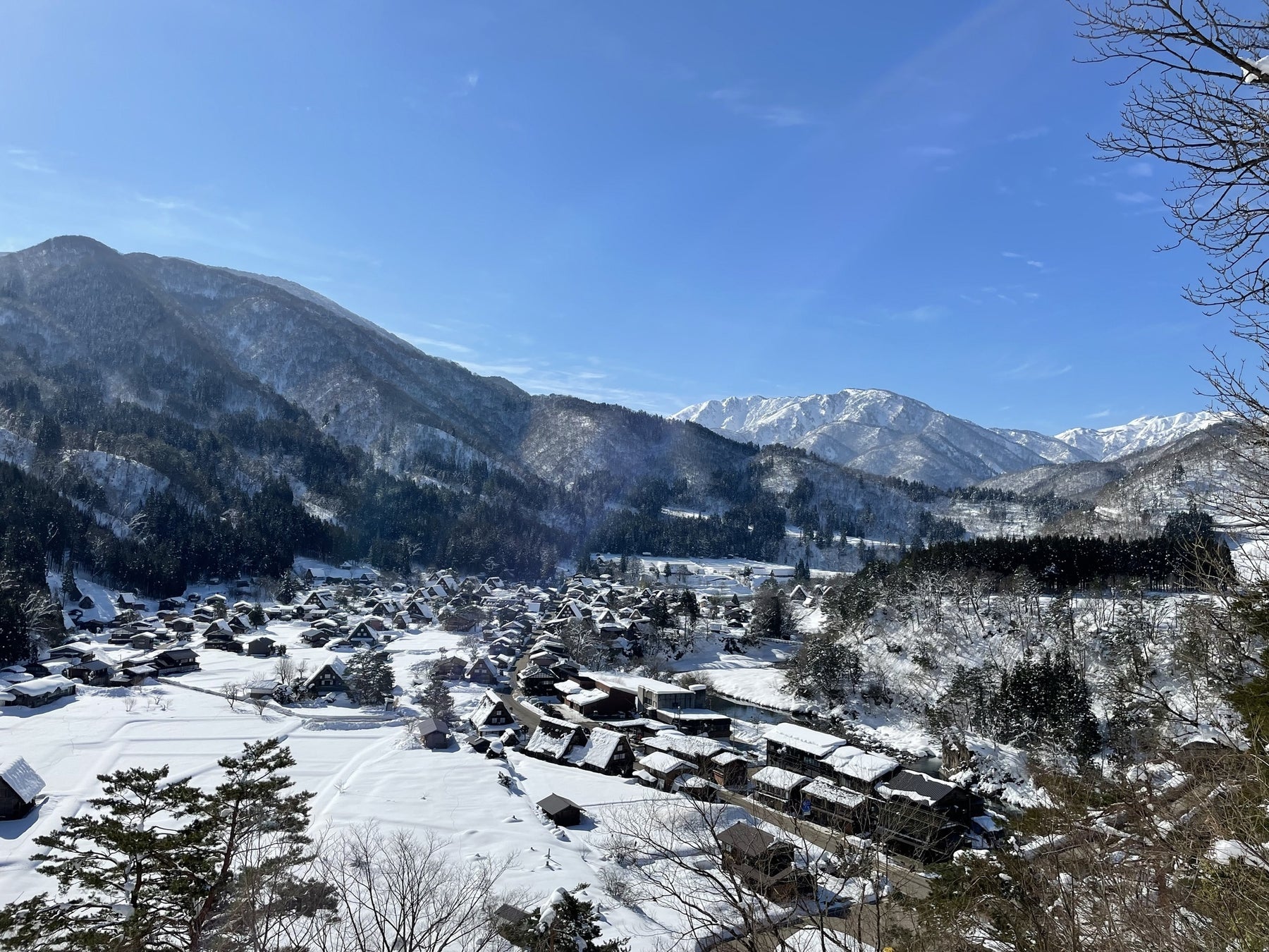 定期観光バス「世界遺産白川郷と五箇山相倉」運行再開