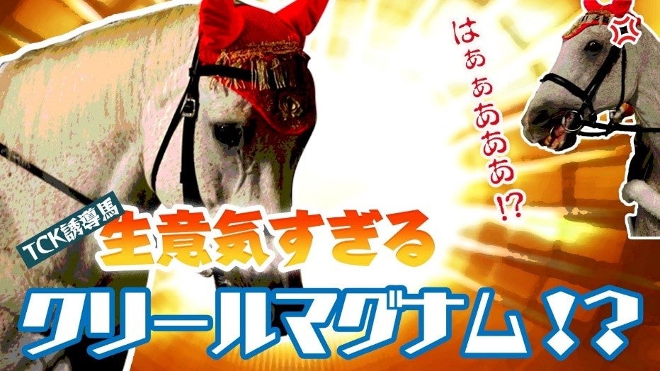 年末年始のTCKはレジェンドホース・誘導馬にお任せあれ！?「馬のことは馬に聞け！」キャンペーン11月29日（火）よりスタート！