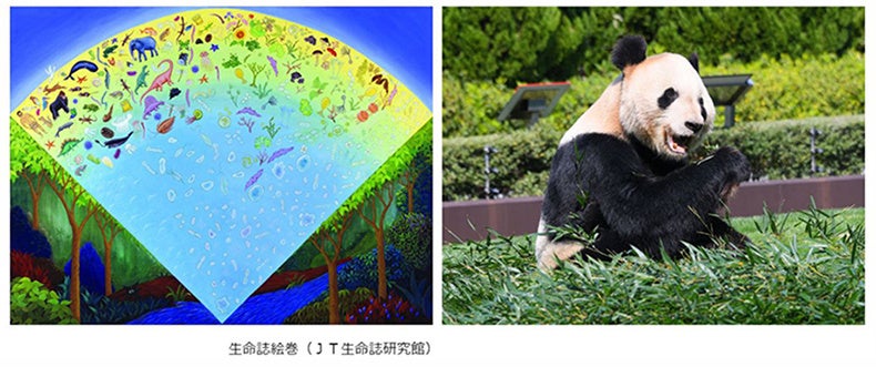 ネイキッドの人気デジタルアート展『NAKED OCEAN 』、台湾・台北で初開催