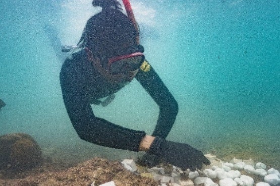 「美ら海サンゴ大作戦2022」キャンペーン結果報告　沖縄県浦添市港川の海に111本の養殖サンゴを移植