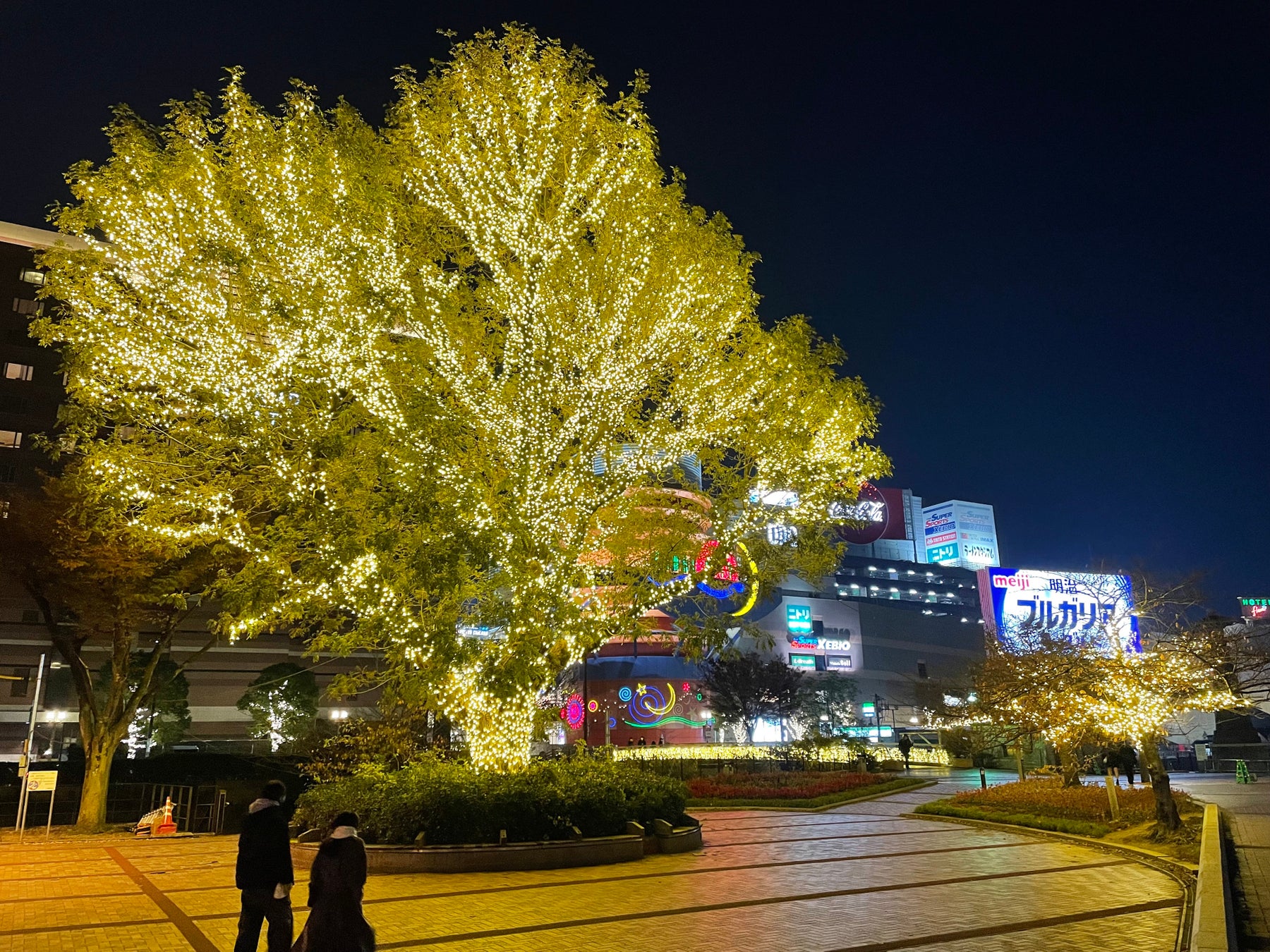 博多〜中洲〜天神と光の道が繋がる。福岡市 清流公園にイルミネーションが登場