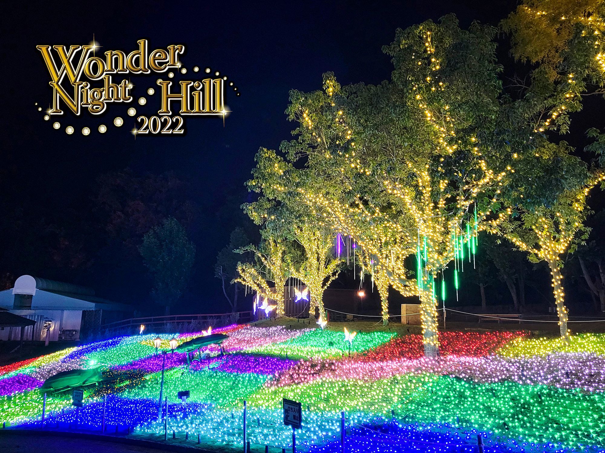 大阪・堺　ハーベストの丘で約100万球のイルミネーションが輝く
「Wonder Night Hill 2022」2023年2月下旬まで開催！