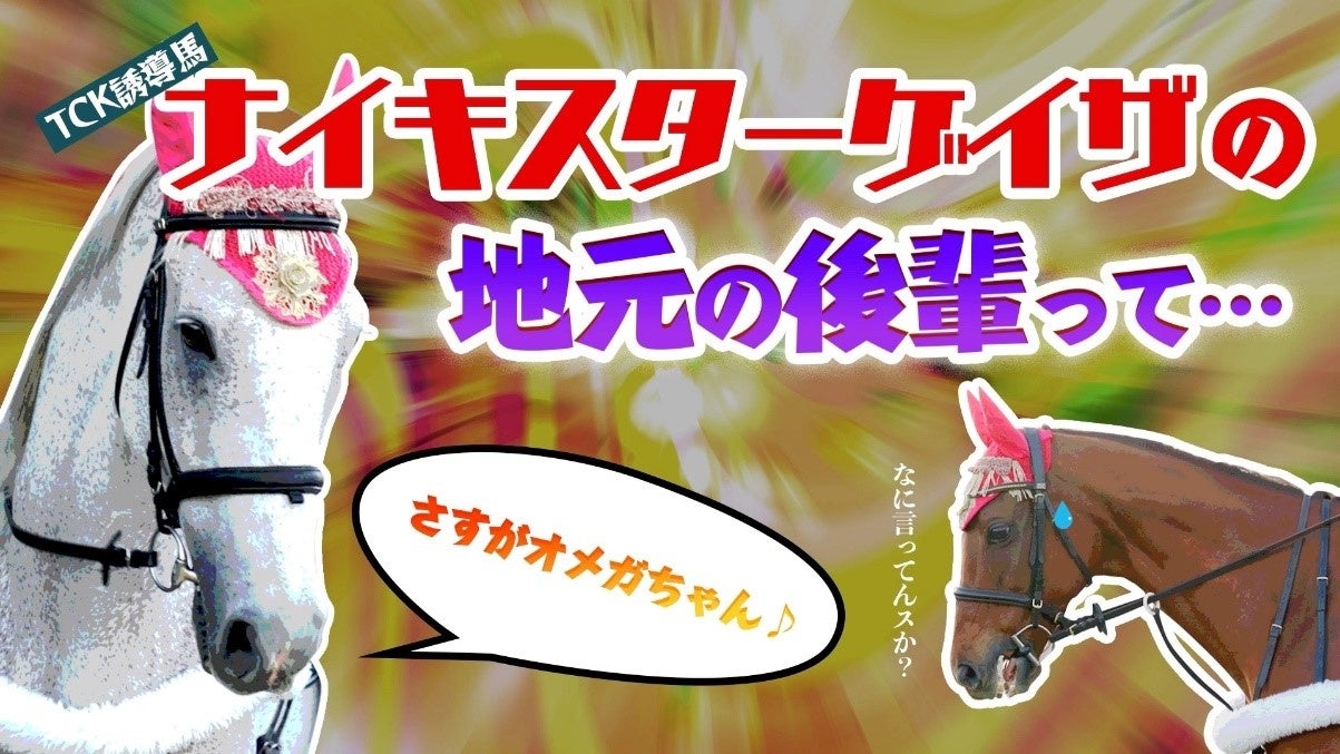 ～「馬のことは馬に聞け！」キャンペーン実施中～今年最後のGⅠレース「東京大賞典」を、TCK誘導馬が熱く語る！