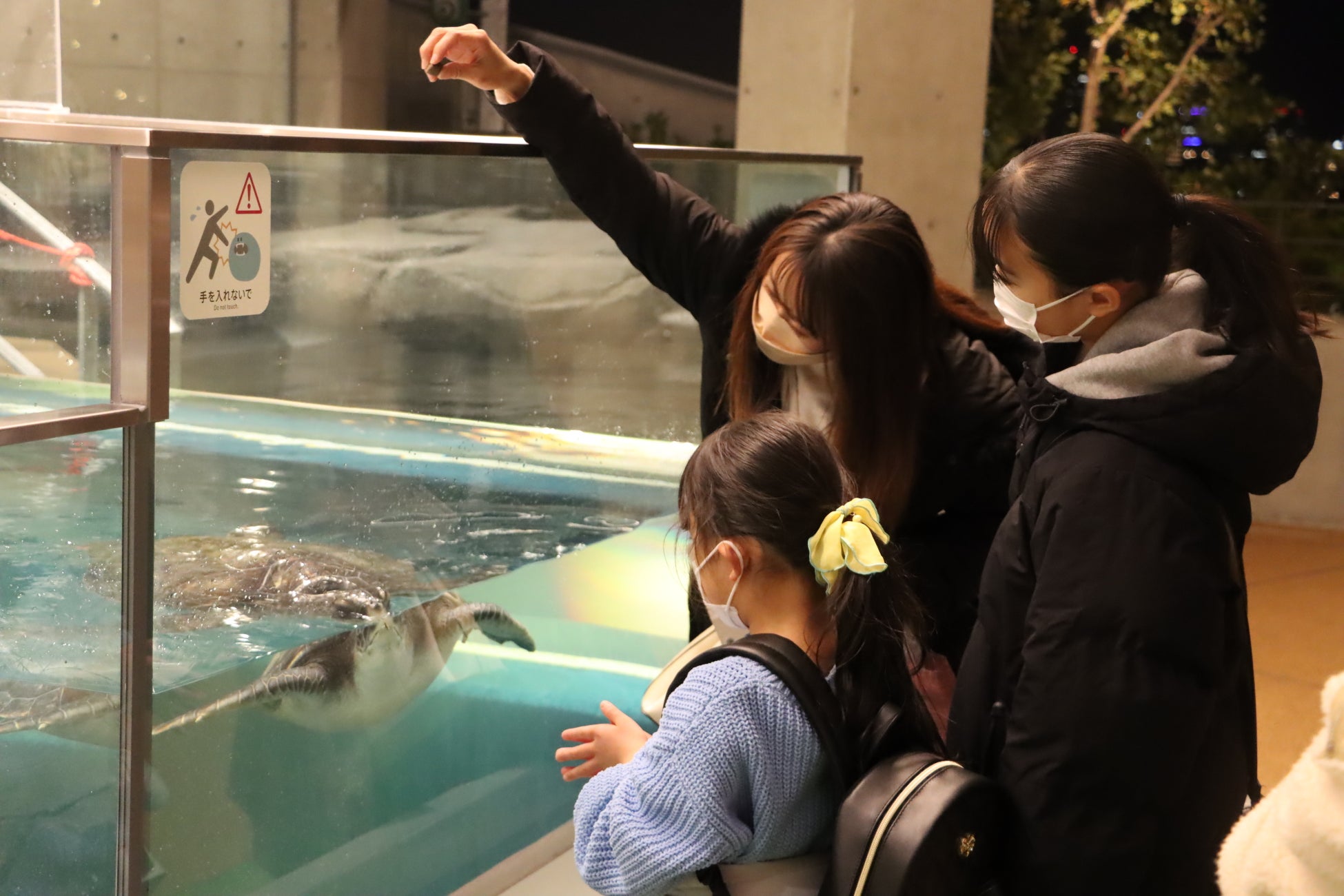 神戸の港の劇場型アクアリウムátoa（アトア） 夜の水族館を貸切り、特別な体験を。