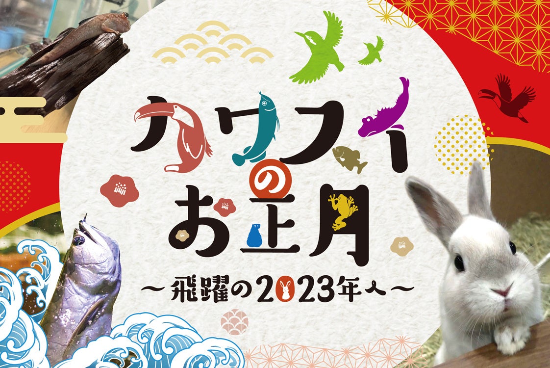 お正月はカワスイで過ごそう♪「神奈川県民20歳無料キャンペーン」も実施！カワスイのお正月〜飛躍の2023年へ〜