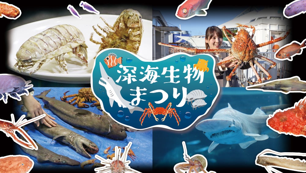 温泉むすめ御泉印、26温泉地で発売。第1弾は5県5温泉地。元旦開始！