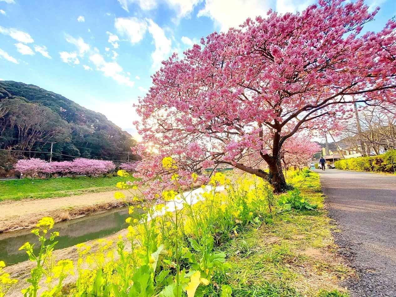 【六甲高山植物園】 2023年3月18日（土）
春の訪れとともにシーズンOPEN！