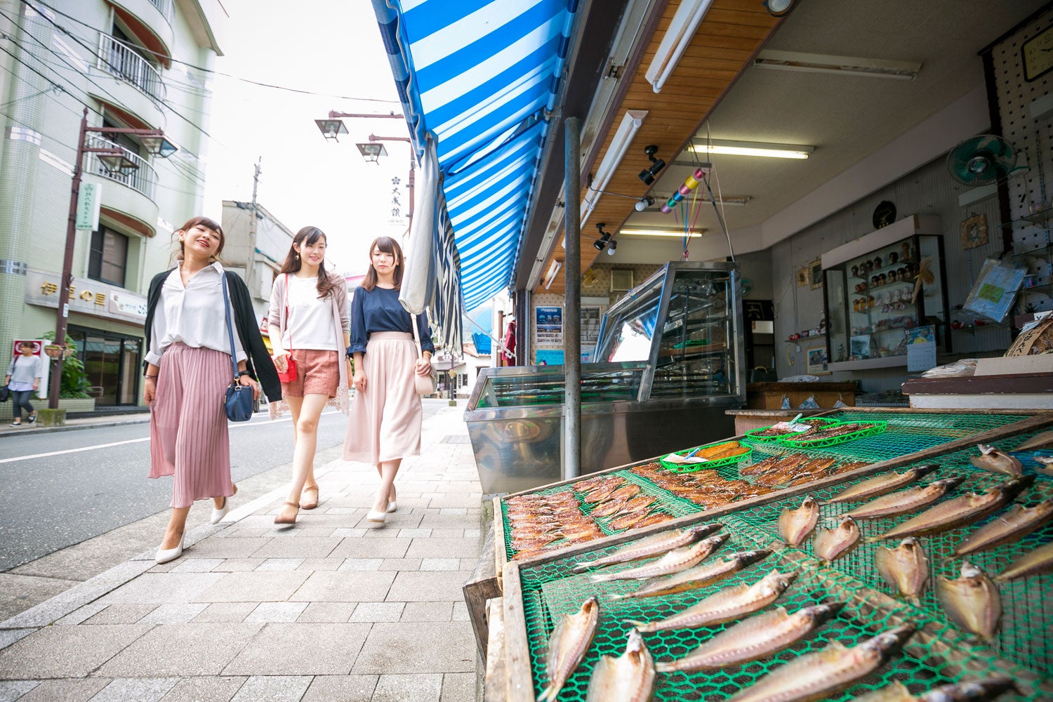 200年前の文献からレシピを読み解き、「江戸前鮨」の原点ともいえる「江戸料理」を組みこんだ、温故知新の江戸前鮨が楽しめる新店がこのたび、西新宿に誕生します。