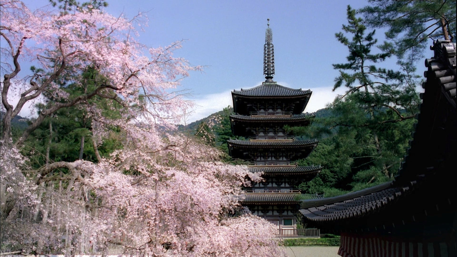 2023 年、春の「そうだ 京都、行こう。」キャンペーン　　東京駅、渋谷が、京都の桜で満開に。2 月 18 日（土）～6 月 30 日（金）で開催！