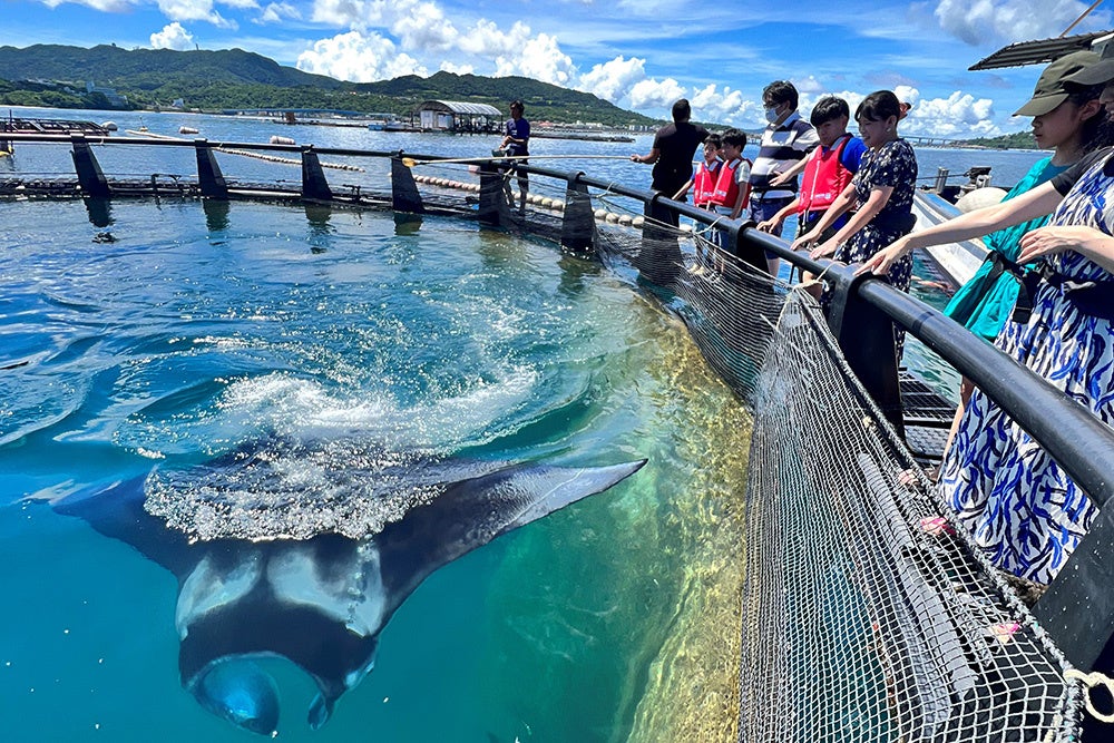 【オリエンタルホテル 沖縄リゾート&スパ】海洋生物について学び、船上からやんばるの自然を体感する「マンタやサメの飼育観察体験ツアー付宿泊プラン」を販売開始