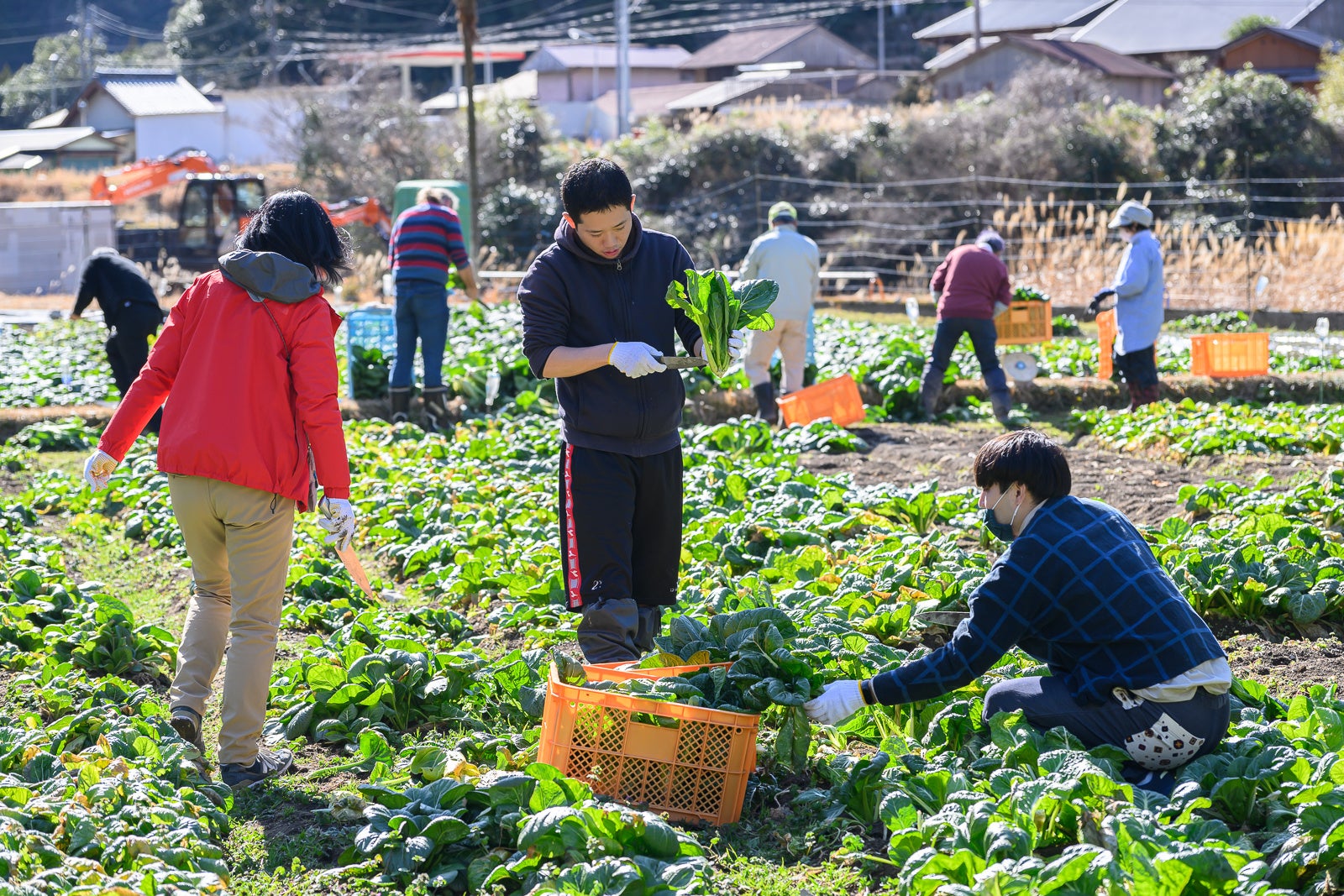 ひと足お先に“桜開花宣言”！？ホテルニューオータニは3月1日より、春爛漫の特別プラン販売開始！