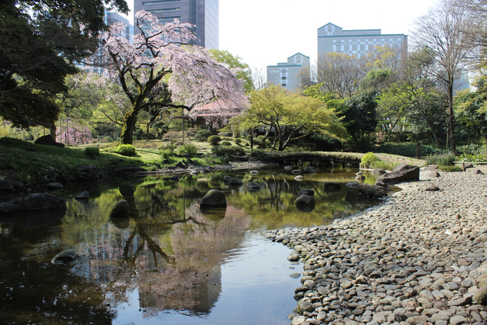 小石川後楽園の庭師の親方による庭園ガイド！「庭さんぽ～大堰川の修景編～」を3月16日に開催します！