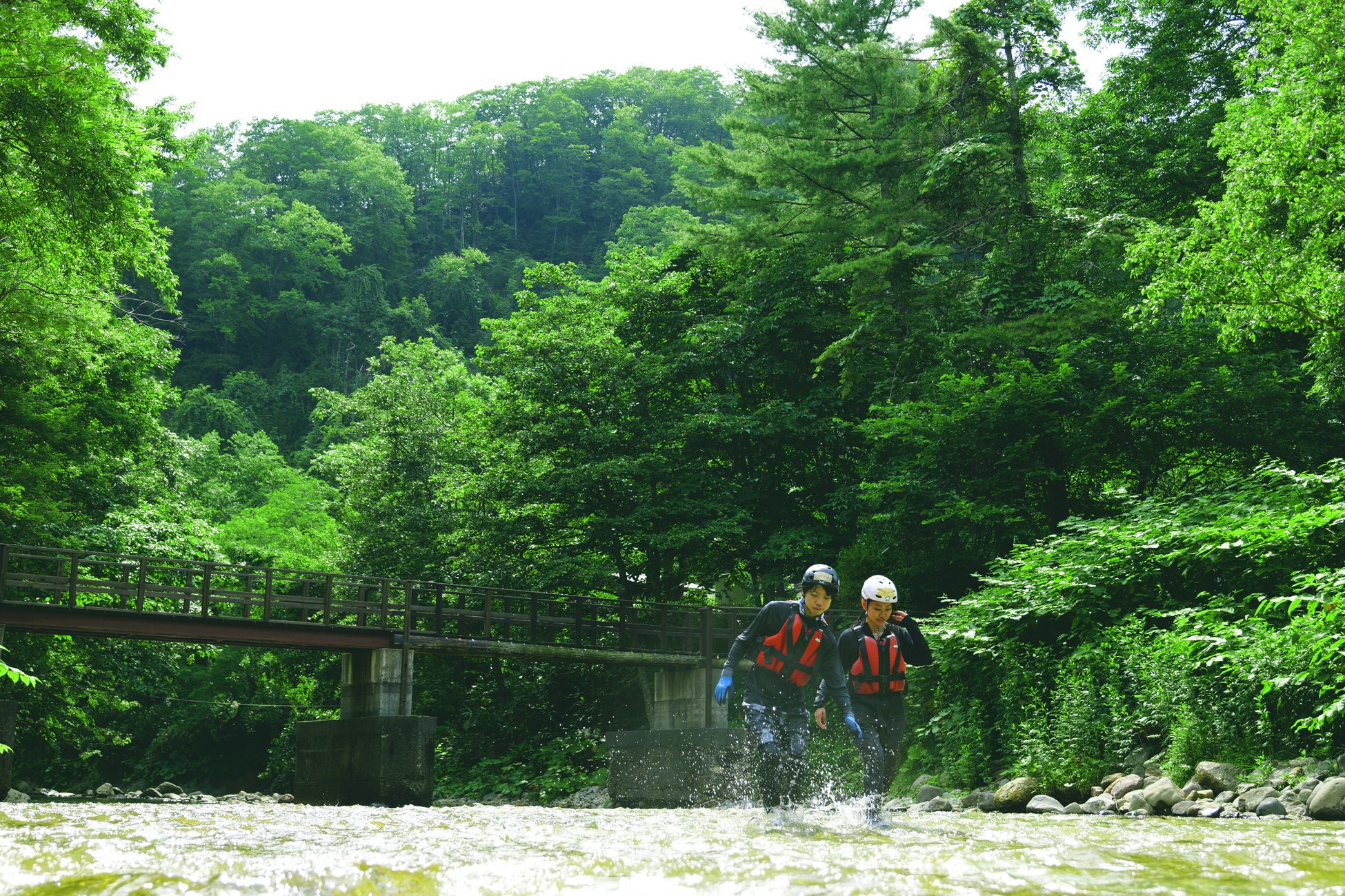 【ホテル金沢】人気のパティスリーシリーズ！石川県産の旬の果実をテーマにボリュームと華やかなビジュアルを追求した特大カットケーキに新作「金沢ゆずのレアチーズケーキ」が登場。