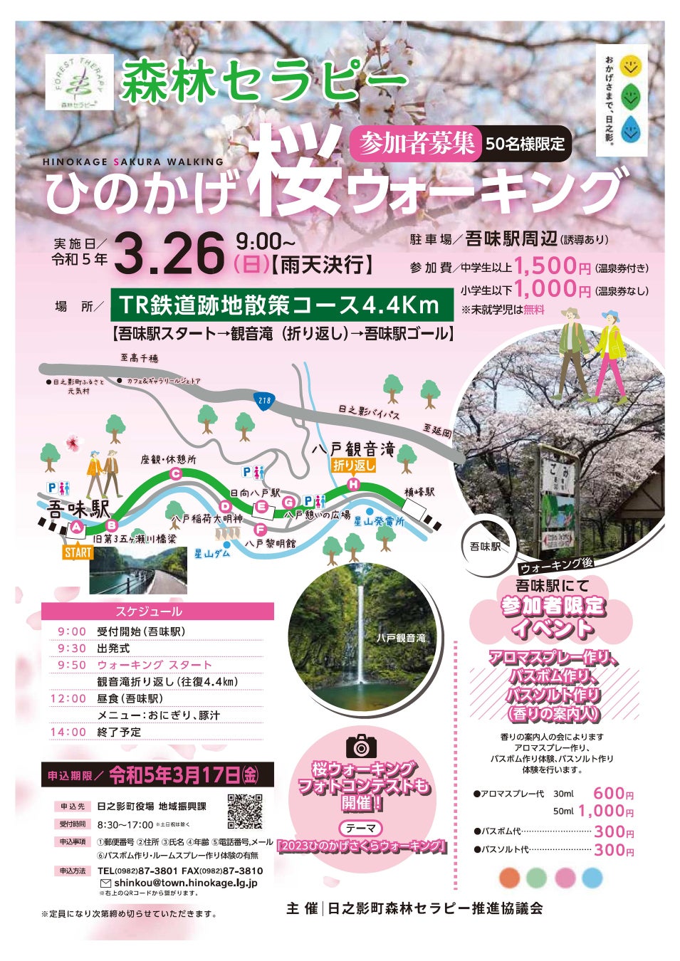 伊豆ぐらんぱる公園でご当地桜「城ケ崎桜」が開花、もうすぐ見頃に！