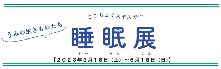 国際女性デーに女性ホストを祝福し、Airbnbで宿泊施設を運用して活躍中の女性ホストに関するレポートを発表