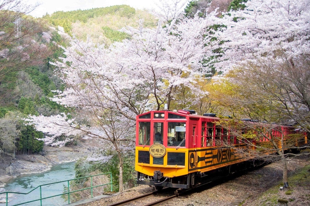 車窓から眺める桜の絶景が１冊に！ 小学館『サライ』最新号は花見列車