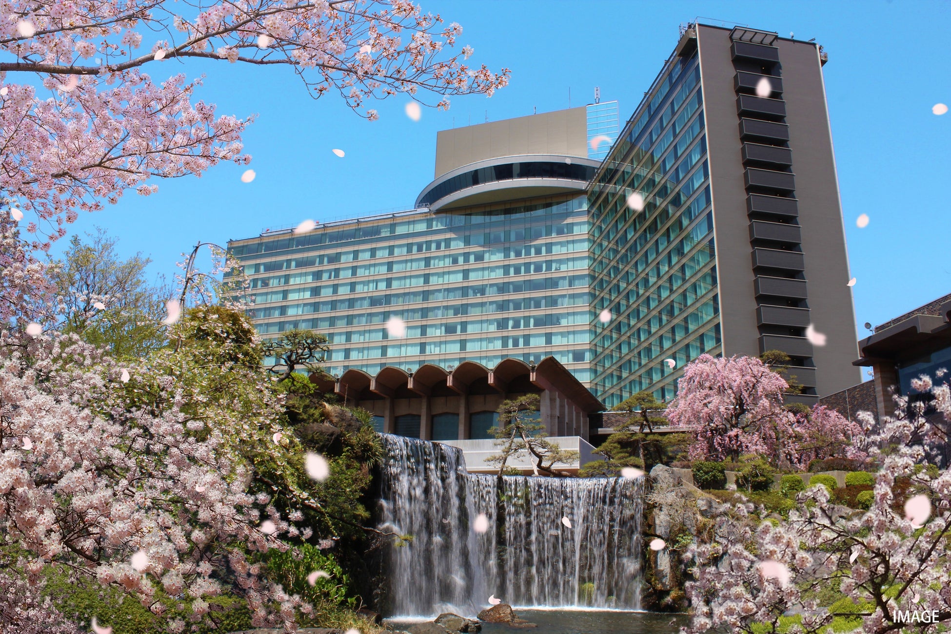 東京九州フェリーで春の船旅♪特別船内イベント開催！