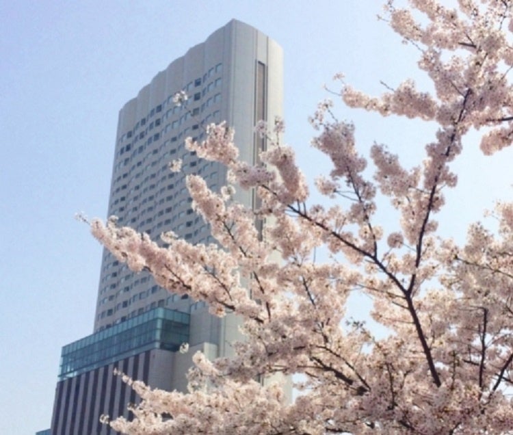 東京観光財団とJARTAが旅行における「脱炭素」をテーマに共同研究を実施