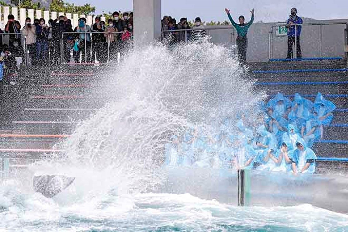 マスクオフでは4年ぶり！日本で唯一シャチの「豪快な水しぶきの祝福」で新入社員27名を歓迎！　鴨川シーワールド　2023年度入社式