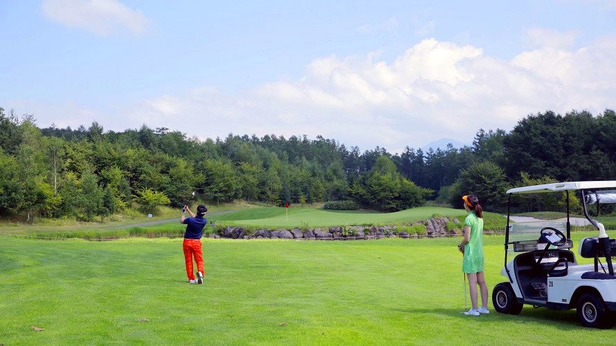 箱根の美術館と横須賀美術館が 相互の魅力を届ける 新たなプログラムを開始します！