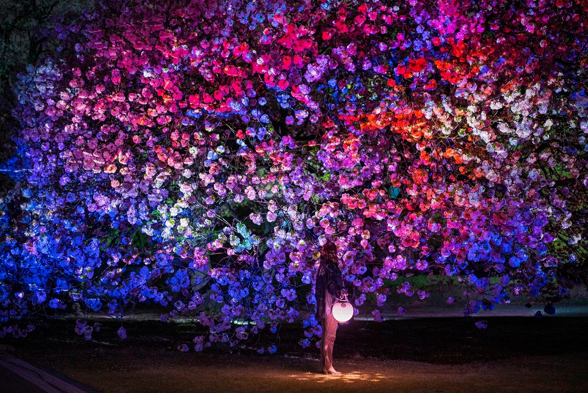 芳醇な紅茶の香りを楽しむ初夏のカクテル 「‘’大人のフルーツティー‘’カクテル」