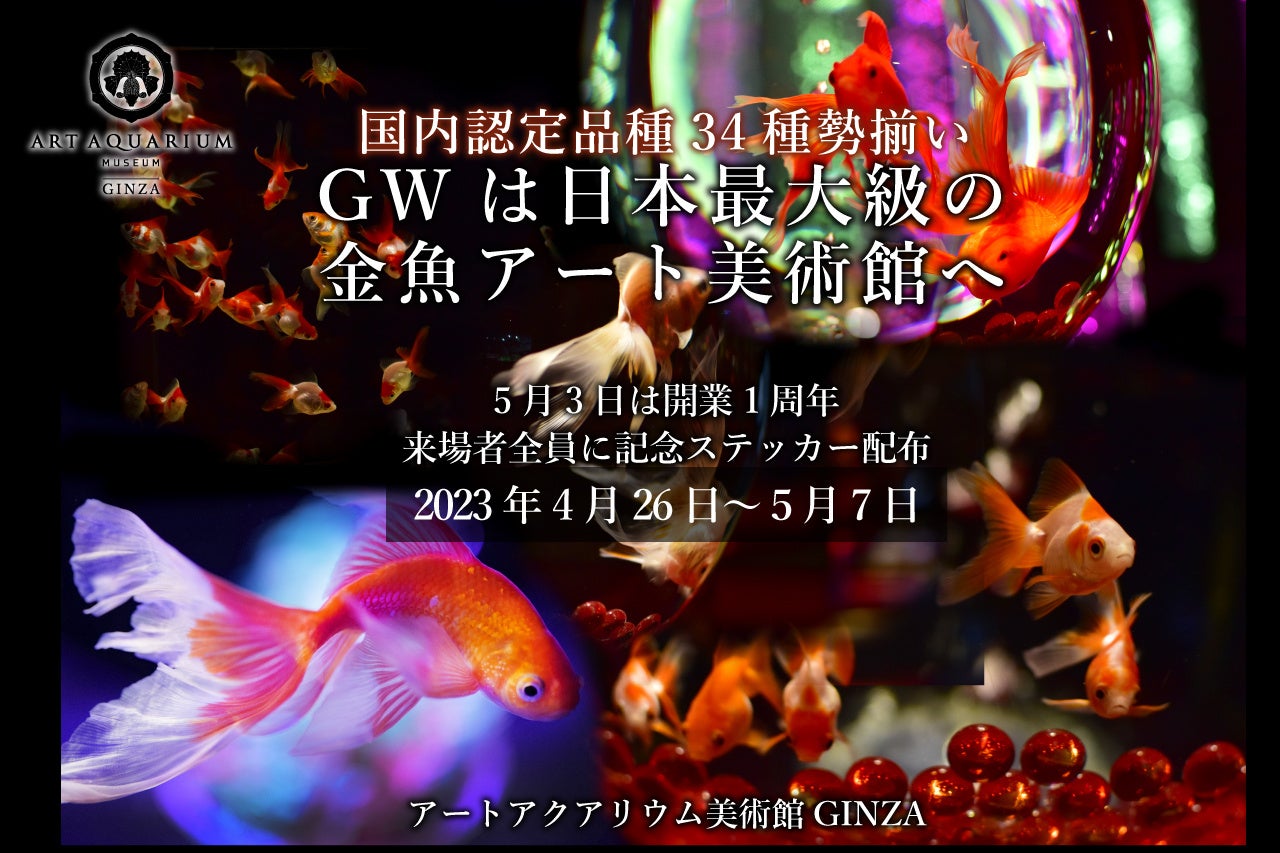 GWはGF⁉（Gold Fish＝金魚）　今年のGWは日本最大級の金魚アート展示を見に行こう！