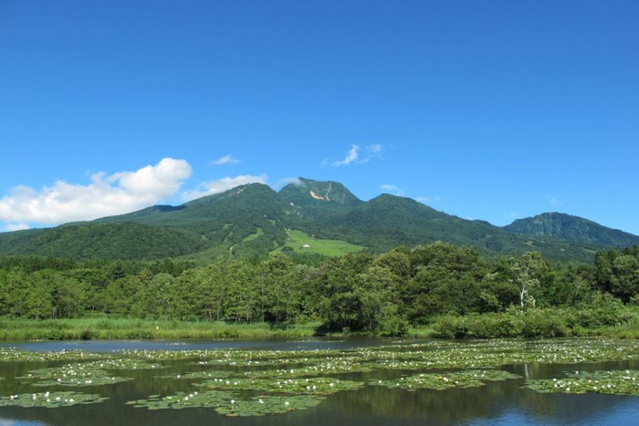 【北海道 東川町】4月14日は「(良い)椅子の日」。町内外で展示やイベントを開催！