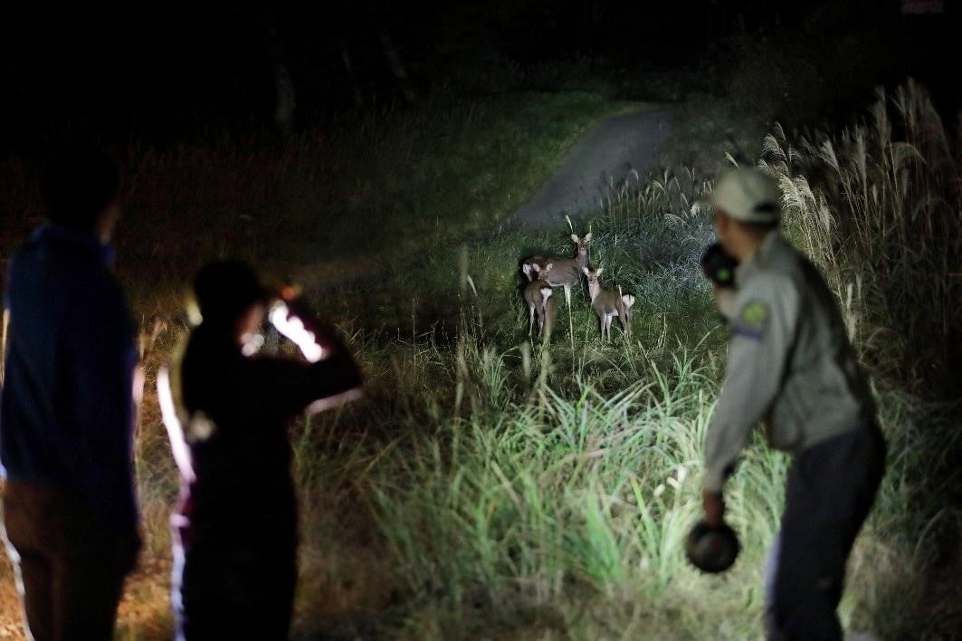 【プリンスグランドリゾート軽井沢】敷地内にある42haの豊かな森を舞台に繰り広げられる、親子の絆を深める夜の大冒険！自然の専門家と一緒に野生動物を探す「ワイルドサファリツアー」を開催