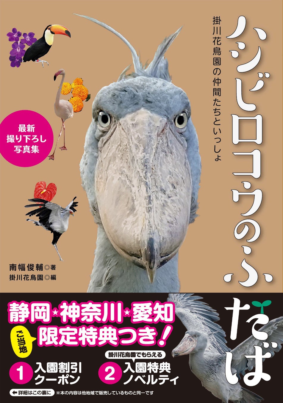 【静岡・愛知・神奈川 限定】掛川花鳥園のハシビロコウの写真集『ハシビロコウのふたば』ご当地３県限定版が発売決定。4月25日から静岡・愛知・神奈川の書店店頭のみ、数量限定で販売