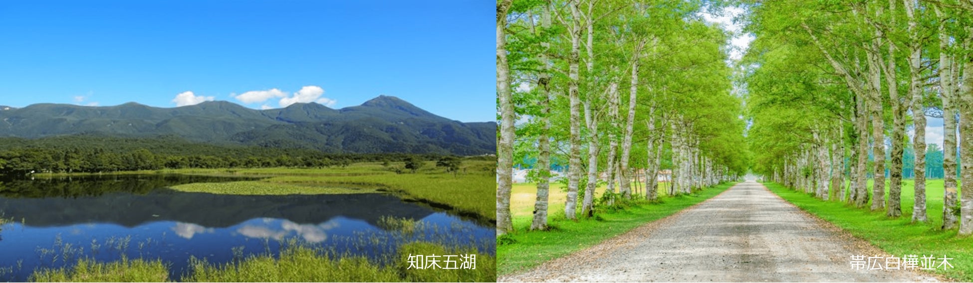 小峰公園「里山季節めぐり」5月6日（土）開催！