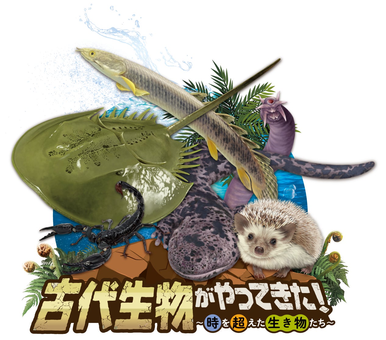 サウナ付き貸切キャンプ場 新設備追加