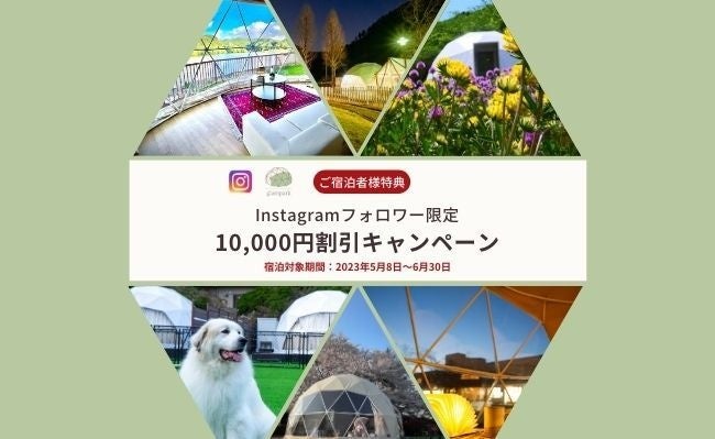 栗毛のかわいいポニーが愛知県森林公園に仲間入り！初のネーミング募集を実施！