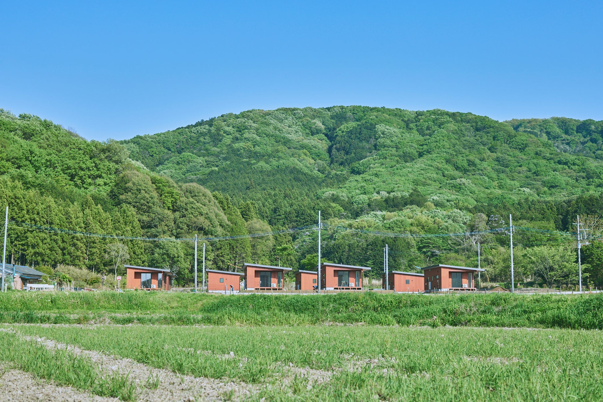 5月19日（金）～21日（日）、相鉄線沿線の「こども自然公園」で開催する 「ヨコハマネイチャーウィーク2023」の詳細決定【相鉄グループ・横浜市旭区役所】