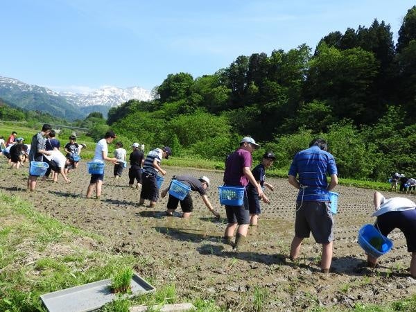 【GW特別企画】幻想的な空間演出による「森と海のナイトアドベンチャー」をキッズパークのキスケ「KIT PLAY」が5月1日より開催！