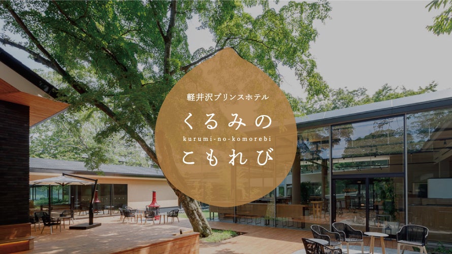 「出雲いりすの丘公園」の利活用事業者を募集。日本三美人の湯「湯の川温泉郷」の活性化に向け、公募条件を緩和