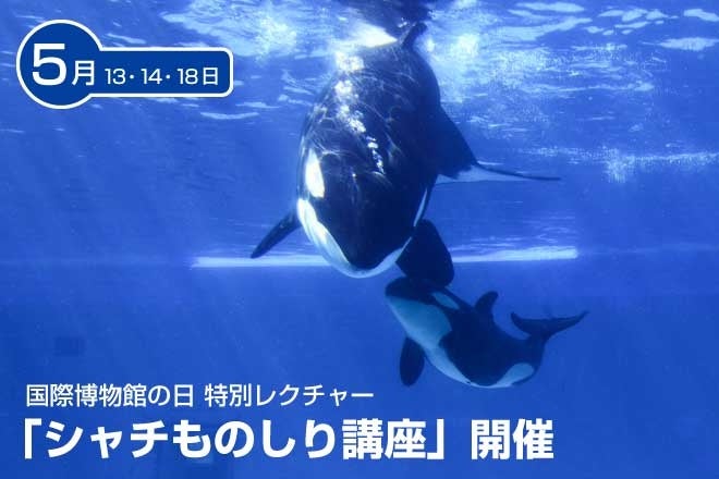 【リーガロイヤルホテル（大阪）】6ホテルすべて巡ると、次回ご利用可能な「ランチお食事券」をプレゼント大阪キタエリア6ホテル共同ランチ企画夏の味めぐり～和洋中で彩る、涼麺グルメ～