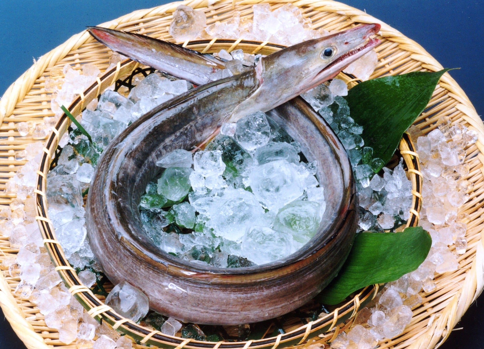 旅するLovePianoがいよいよフィナーレ「星野リゾート BEB5軽井沢(ベブ)」にストリートピアノが登場!