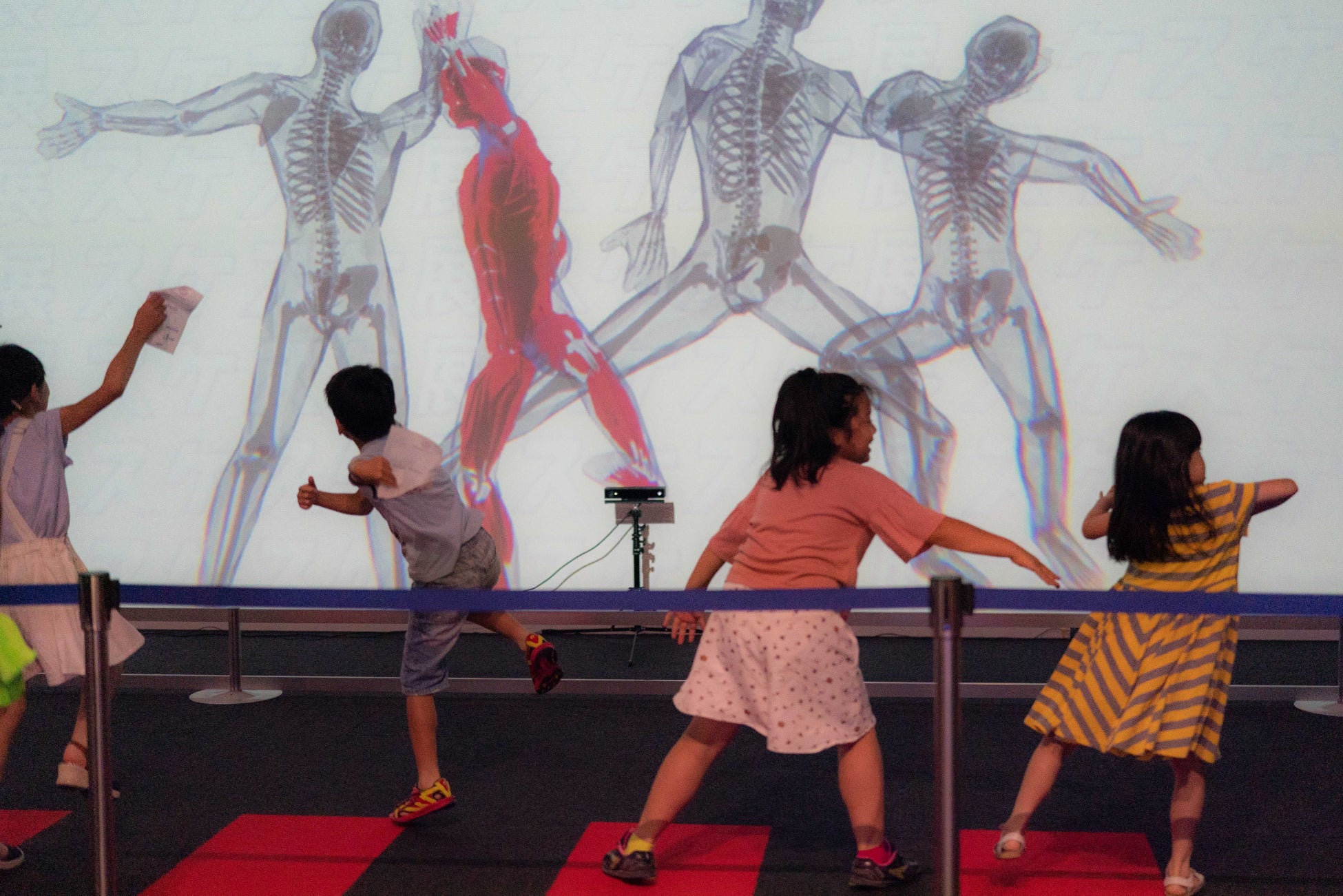 東京ドームシティ Gallery AaMo（ギャラリー アーモ）東京初上陸！全国で30万人を動員した話題の展覧会生物や物の中身を「スケる」を通じて紹介する『スケスケ展 in TOKYO』