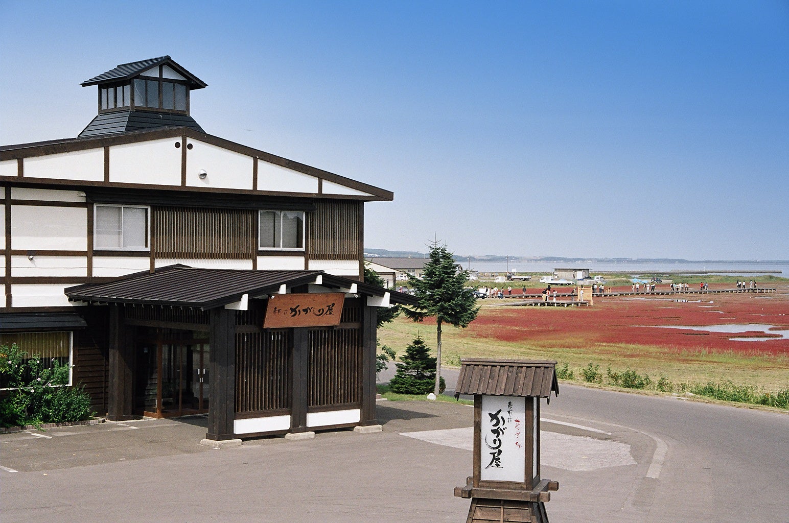 日本一のさんご草群落地にある唯一の宿「かがり屋」が4月29日 リニューアルオープン！