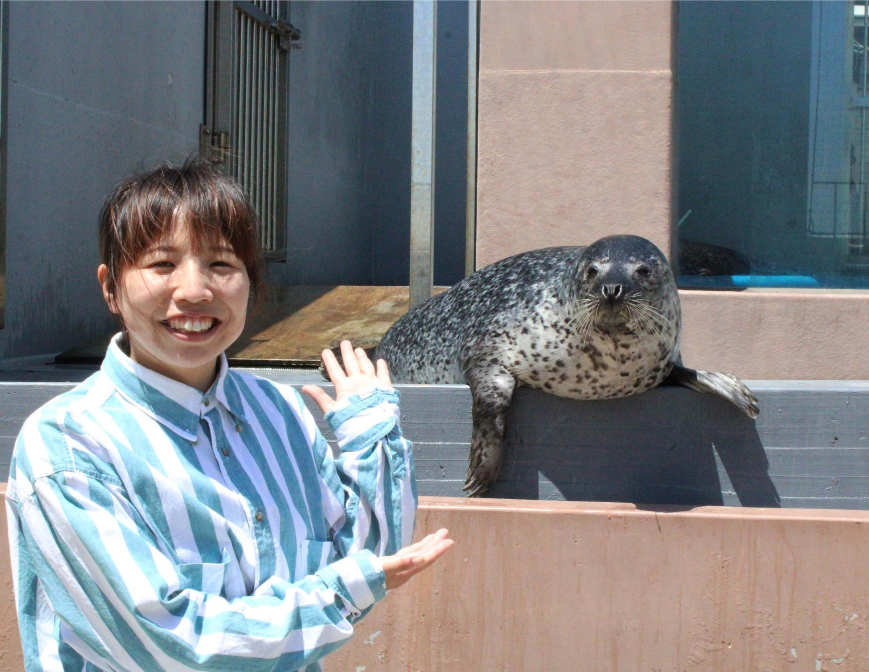 【神戸市立須磨海浜水族園】「ゴマフアザラシまるごとツアー」を開催いたします　開催日：2023年5月20日（土）、5月24日（水）