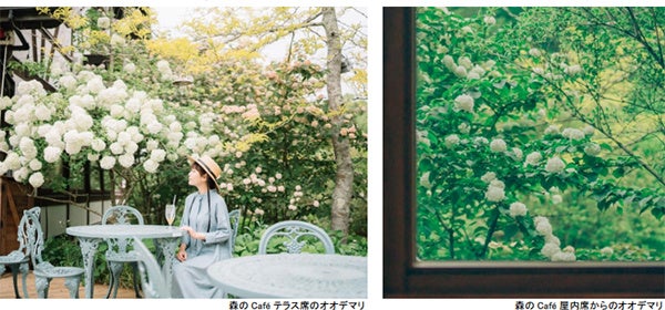 【東京エディション虎ノ門】The Jade Room + Garden Terrace「テロワール・日本」 第一弾、北海道余市にフォーカスした「テロワール・余市」を6月1日より開催