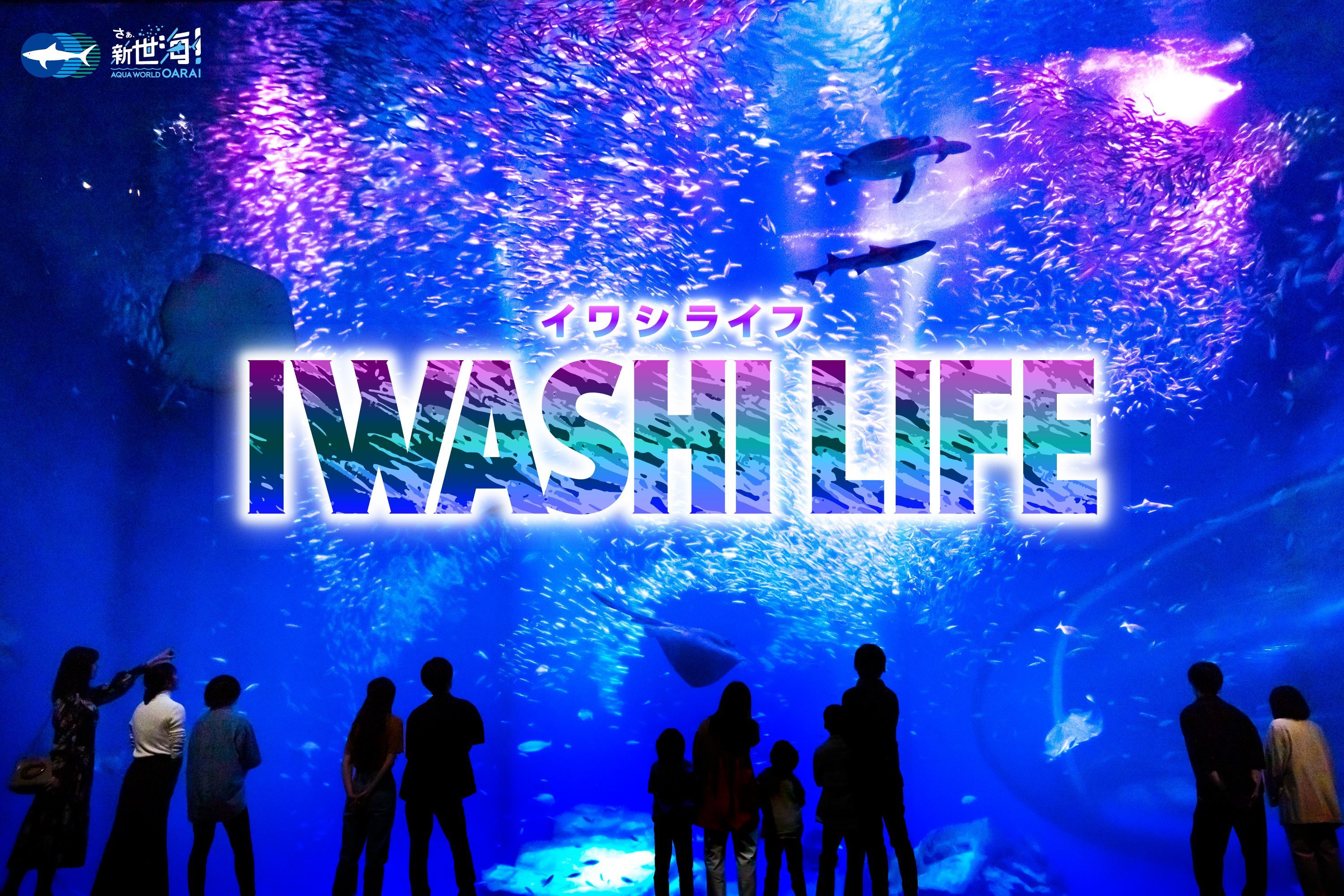 過去最多！約20,000匹のイワシたちが出会いの海で力強く群れ動く
『IWASHI LIFE』が5月25日からバージョンアップ！